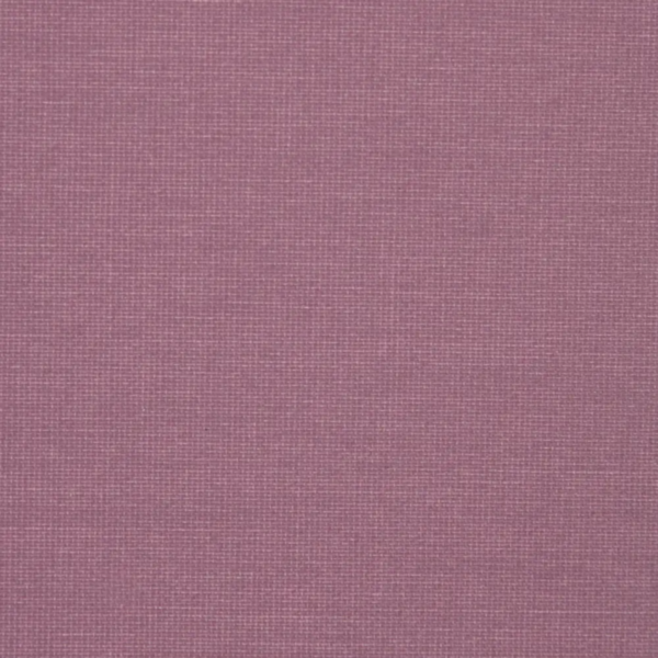 Viola 250